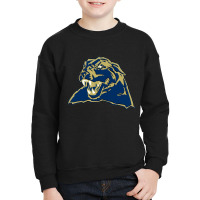 League Football Sports Youth Sweatshirt | Artistshot