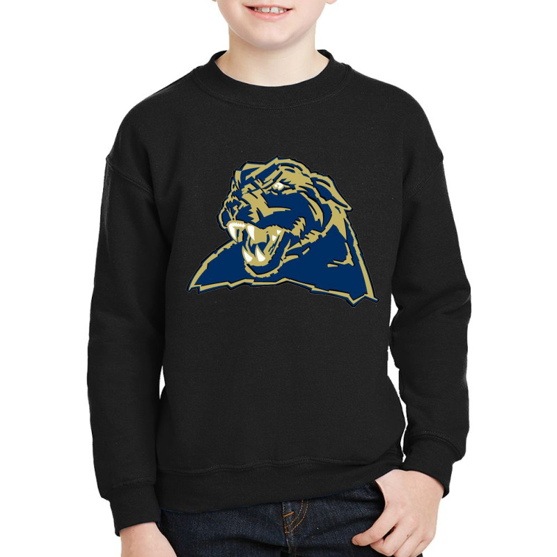 League Football Sports Youth Sweatshirt by cutmemey | Artistshot