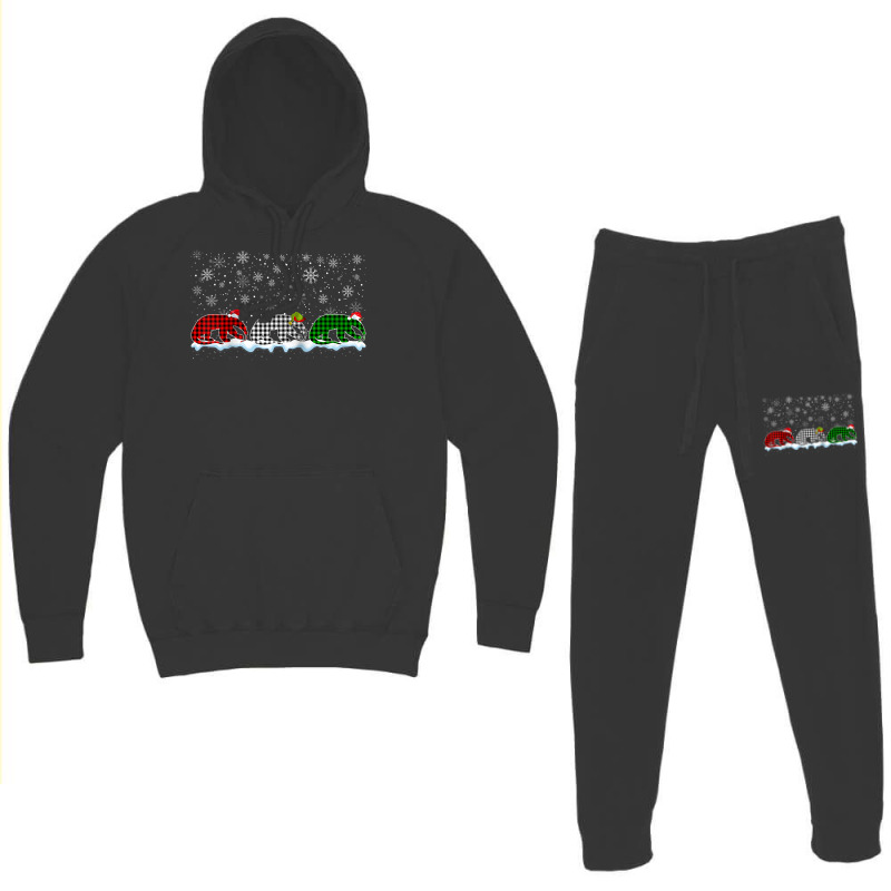 Merry Christmas Santa Xmas Funny Anteater Animals Lover Raglan Basebal Hoodie & Jogger Set | Artistshot