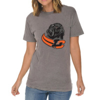 Lewis & Clark College Pioneers Vintage T-shirt | Artistshot