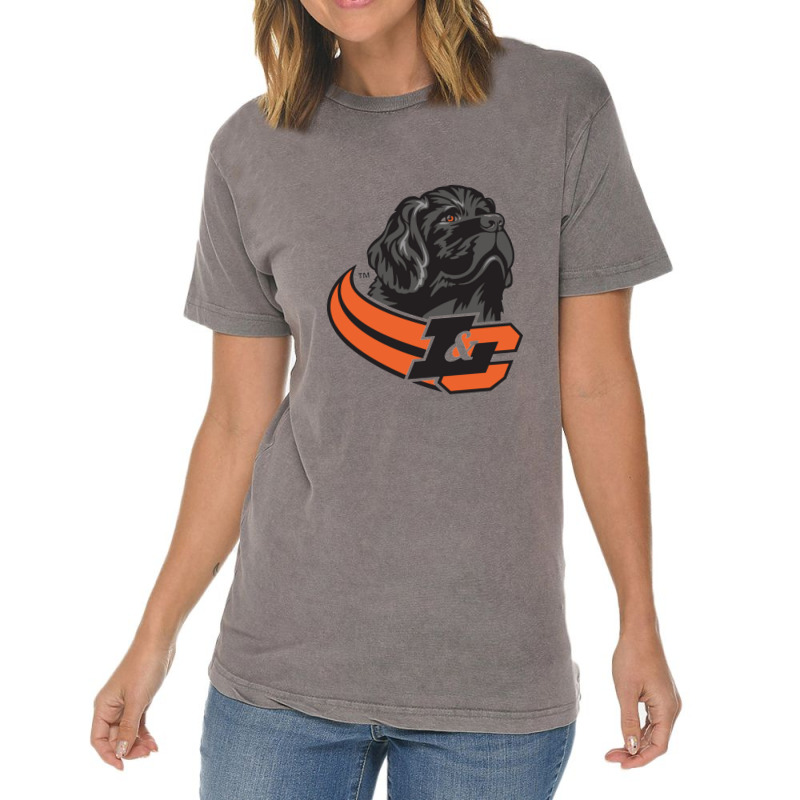 Lewis & Clark College Pioneers Vintage T-Shirt by Andreacomptonc | Artistshot