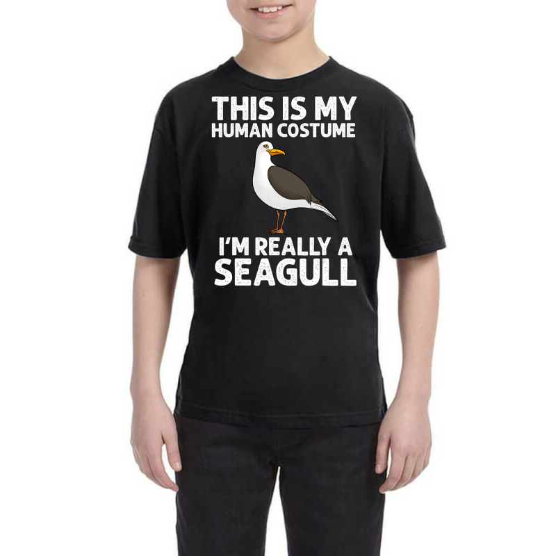 Cool Seagull Women Seabird Gull Seagull Lover Youth Tee by cm-arts | Artistshot