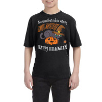 Exotic Shorthair   Cat Lover Not A Wizard Funny Halloween Youth Tee | Artistshot