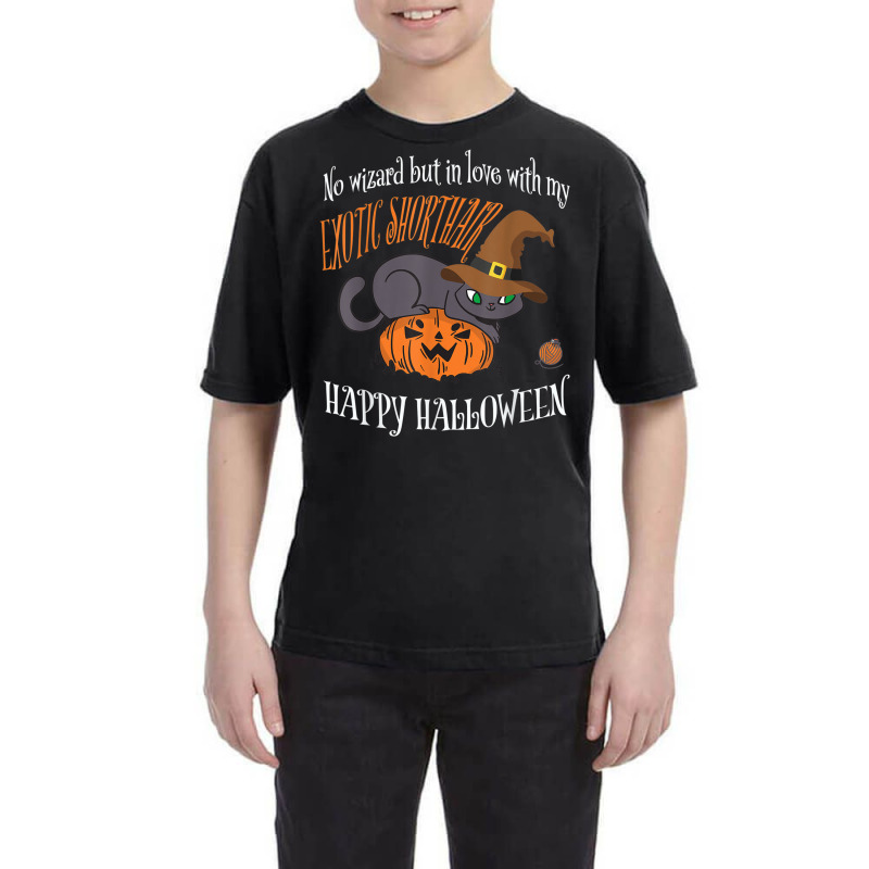 Exotic Shorthair   Cat Lover Not A Wizard Funny Halloween Youth Tee by Fashonus | Artistshot