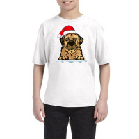 Womens Anatolian Shepherd Dog Christmas Santa Hat Matching Family V Ne Youth Tee | Artistshot