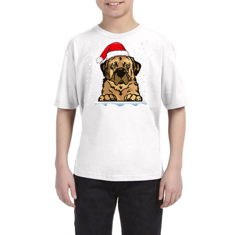 Womens Anatolian Shepherd Dog Christmas Santa Hat Matching Family V Ne Youth Tee by cm-arts | Artistshot