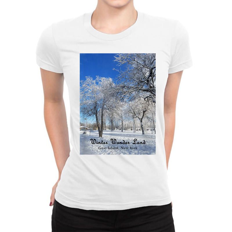 Winter Wonderland Goat Island, New York 2017 T Shirt Ladies Fitted T-Shirt by cm-arts | Artistshot