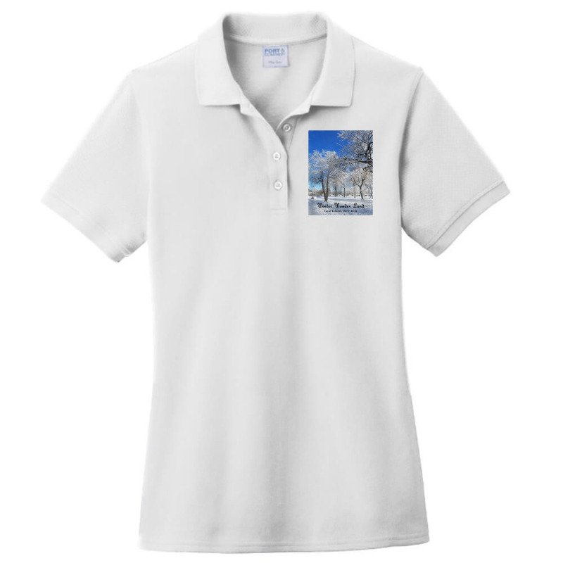 Winter Wonderland Goat Island, New York 2017 T Shirt Ladies Polo Shirt by cm-arts | Artistshot