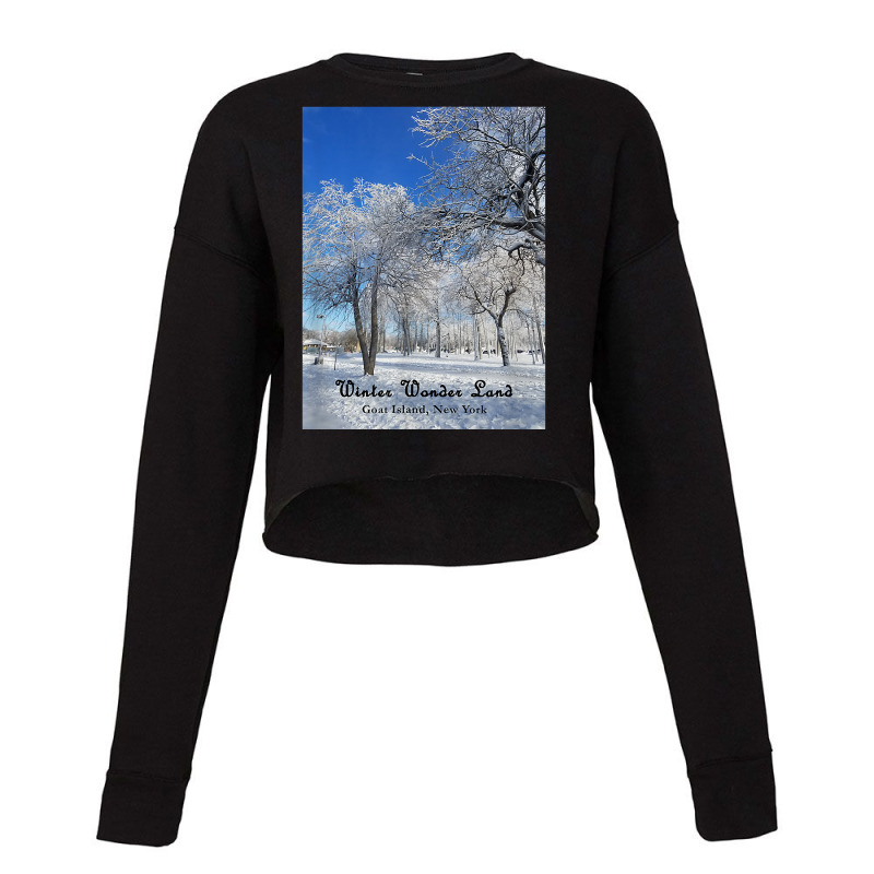 Winter Wonderland Goat Island, New York 2017 T Shirt Cropped Sweater by cm-arts | Artistshot