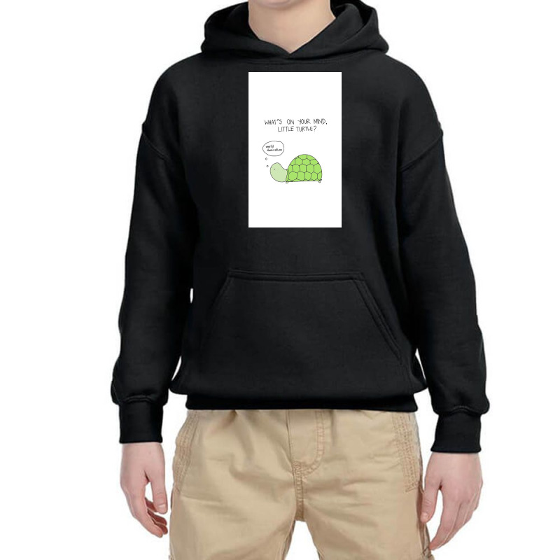 Turtle World Domination Youth Hoodie by Silvisgvc | Artistshot