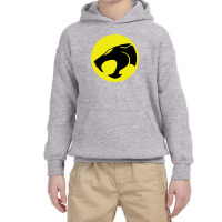 Thundercats 4 Youth Hoodie | Artistshot