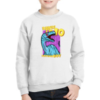 Rawr! I'm 10 Birthday Boys 10th Birthday Dino Noasaurus Youth Sweatshirt | Artistshot