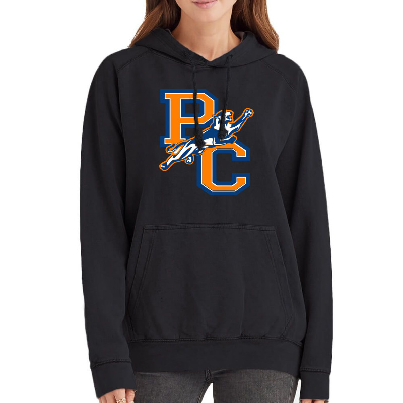 Purchase College Panthers Vintage Hoodie by Wandira | Artistshot