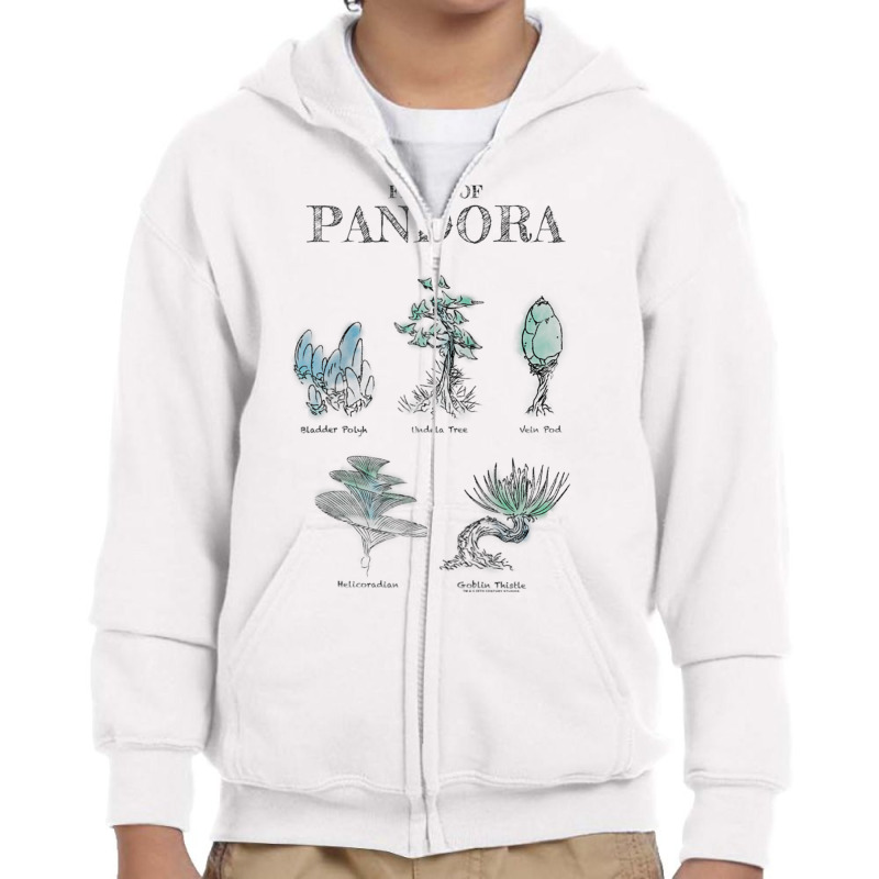 Avatar Floral Of Pandora Textbook Sketches Raglan Baseball Tee Youth Zipper Hoodie | Artistshot