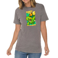 Rawr! I'm 6 Birthday Boys 6th Birthday Dino Stegosaurus Vintage T-shirt | Artistshot