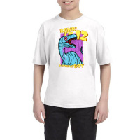 Rawr! I'm 12 Birthday Boys 12th Birthday Dino Noasaurus Youth Tee | Artistshot