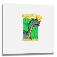 Rawr! I'm 12 Birthday Boys 12th Birthday Dino Mussaurus Metal Print Square | Artistshot