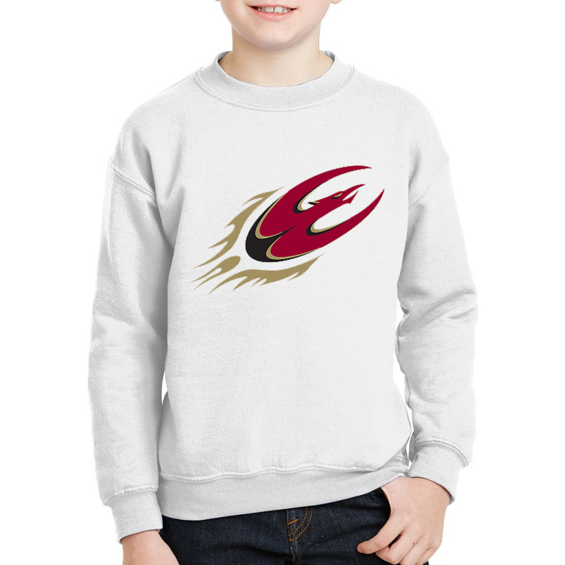 Elon Phoenix Youth Sweatshirt by cm-arts | Artistshot