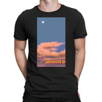 Spirited Away T-shirt | Artistshot