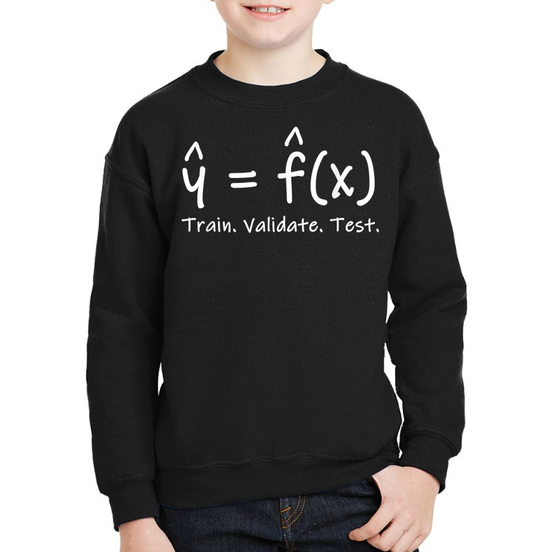 Machine Learning Train Validate Test Stats & Data Science T Shirt Youth Sweatshirt by cm-arts | Artistshot