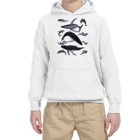 Whale Dolphin Vintage Ocean Life Preppy Marine Biologist Sweatshirt Youth Hoodie | Artistshot