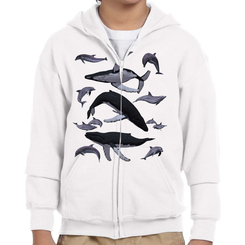 Whale Dolphin Vintage Ocean Life Preppy Marine Biologist Sweatshirt Youth Zipper Hoodie | Artistshot