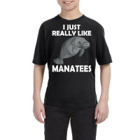 I Just Really Like Manatees Marine Mammal T Shirt Youth Tee | Artistshot