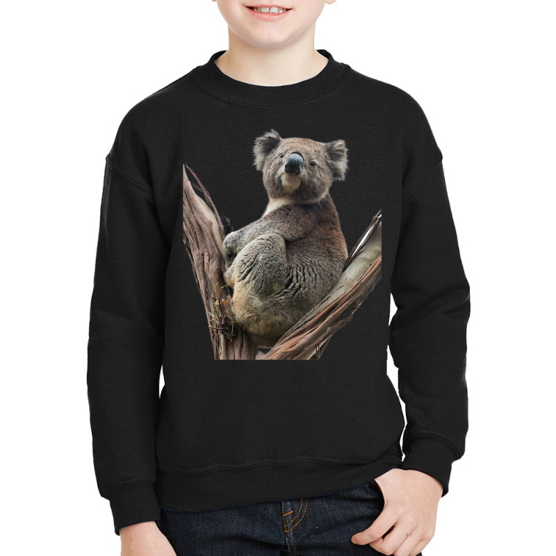 Koala Shirt Koala Eucalyptus Tree Marsupial Zoology T Shirt Youth Sweatshirt by alishia3asa | Artistshot