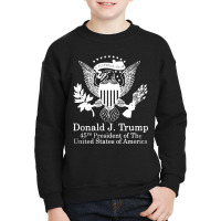 Donald Trump Presidential Seal Usa Youth Sweatshirt | Artistshot