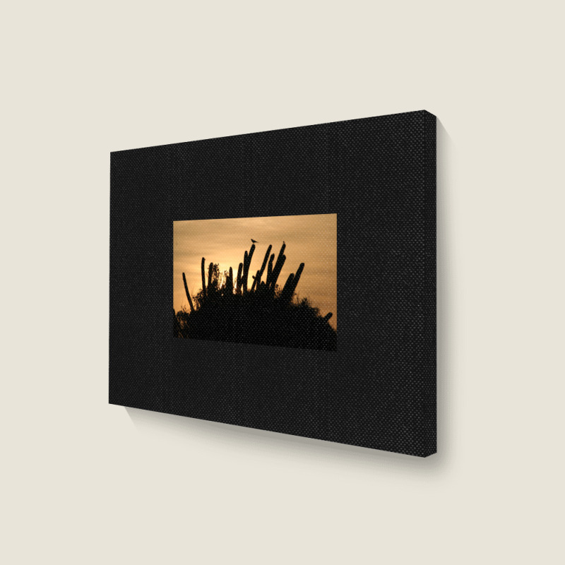 Cactus Sunrise Landscape Canvas Print | Artistshot