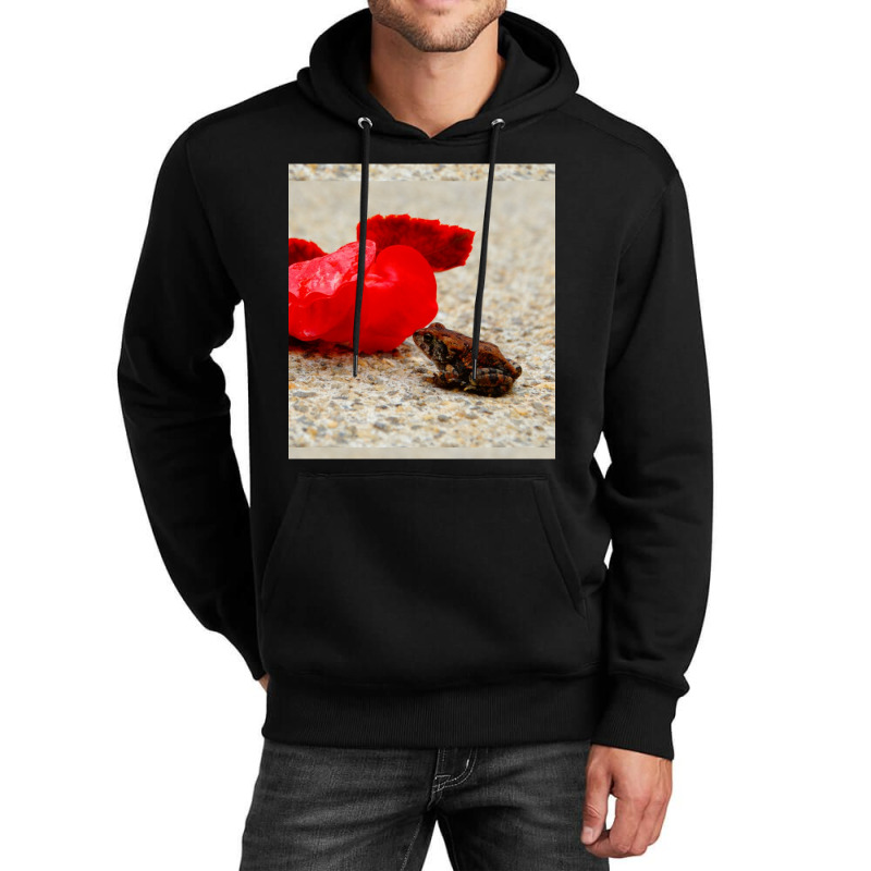 Cute Tiny Multi Colored Frog Next To A Red Geranium Blossom Flower  Sl Unisex Hoodie by cm-arts | Artistshot