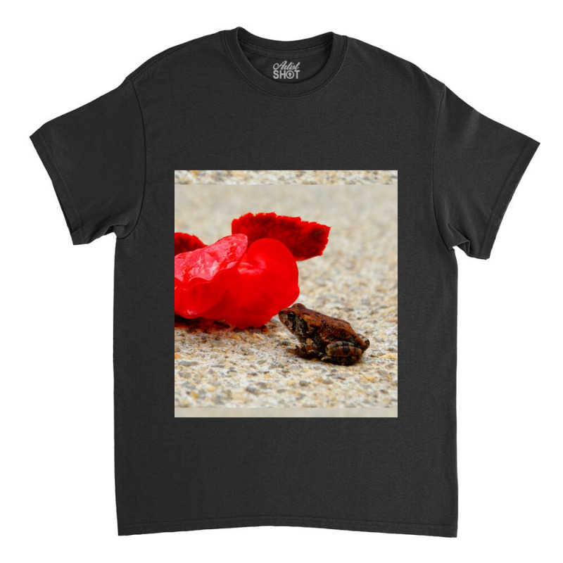 Cute Tiny Multi Colored Frog Next To A Red Geranium Blossom Flower  Sl Classic T-shirt by cm-arts | Artistshot