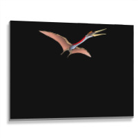 Quetzalcoatlus Pterosaur Dinosaur Classic Premium Metal Print Horizontal | Artistshot