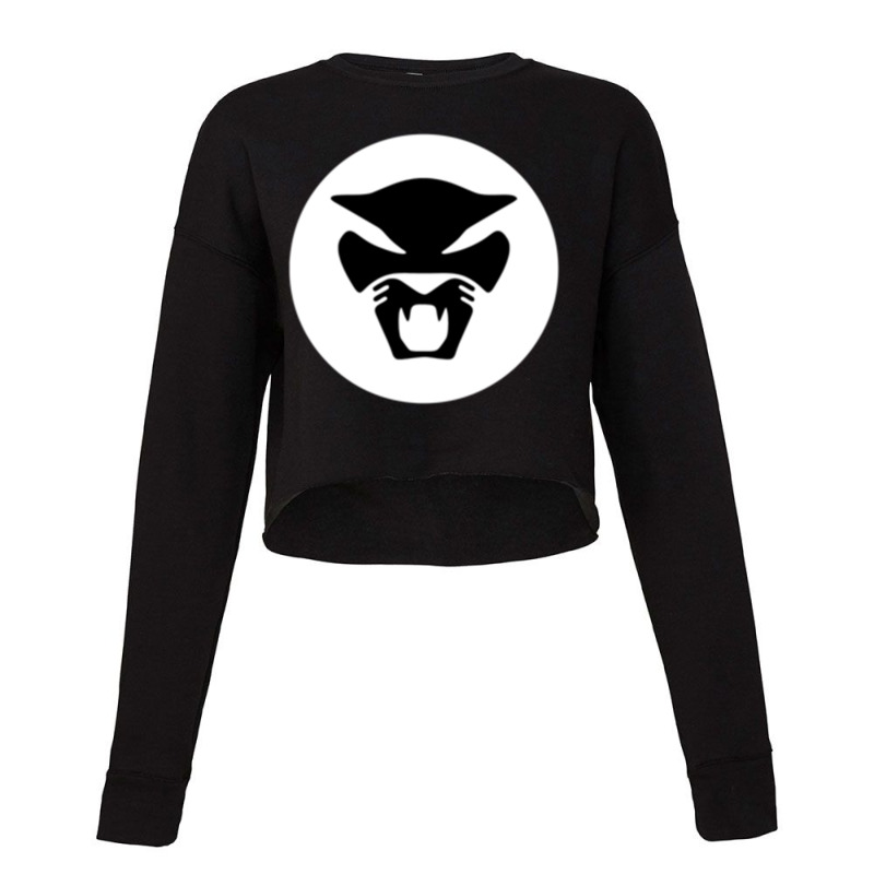 Thundercat Cropped Sweater by cm-arts | Artistshot