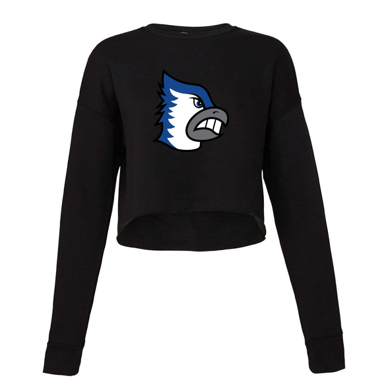 Bondurant–farrar Junior Senior High School Cropped Sweater by Bafort | Artistshot