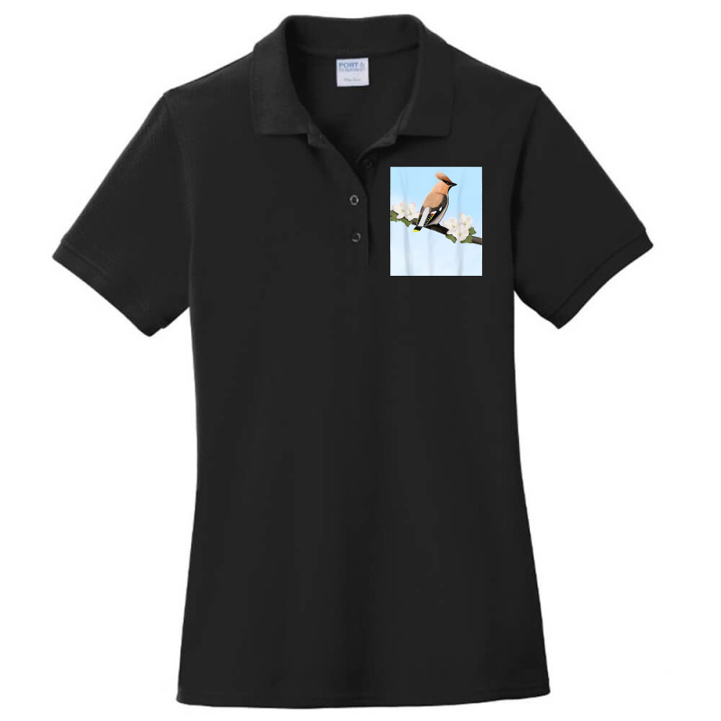 Bohemian Waxwing Bird Birder Birdlover Birdwatcher Biologist Ladies Polo Shirt by cm-arts | Artistshot