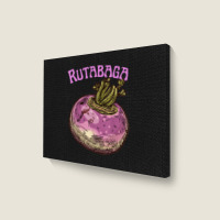 Rutabaga Swede Root Vegetable Swedish Turnip Neep Rwden Landscape Canvas Print | Artistshot