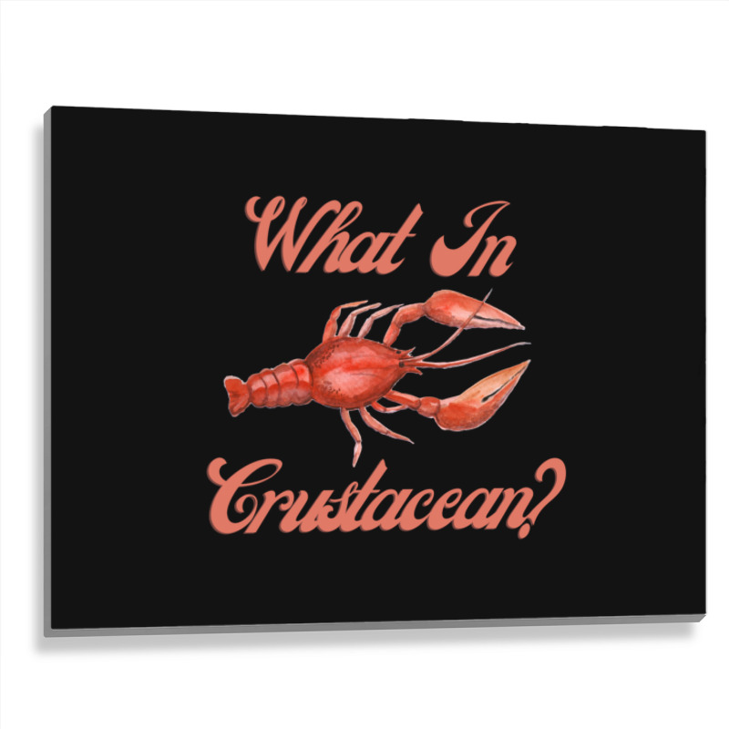 What In Crustacean  Cute Crustaceancore Metal Print Horizontal | Artistshot