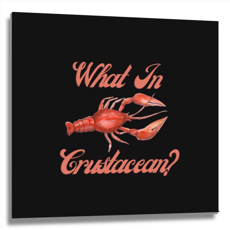 What In Crustacean  Cute Crustaceancore Metal Print Square | Artistshot