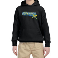 Roadrunners, Bakersfield (csu) College Youth Hoodie | Artistshot