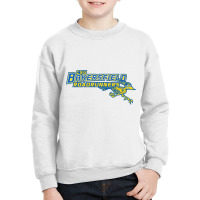 Roadrunners, Bakersfield (csu) College Youth Sweatshirt | Artistshot