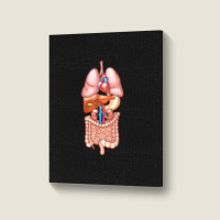 Halloween T Shirt Internal Organ Diagram Anatomy Portrait Canvas Print | Artistshot