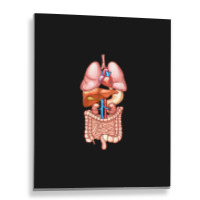 Halloween T Shirt Internal Organ Diagram Anatomy Metal Print Vertical | Artistshot