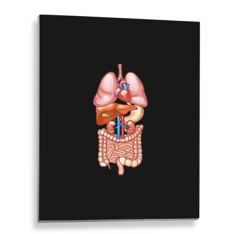 Halloween T Shirt Internal Organ Diagram Anatomy Metal Print Vertical | Artistshot