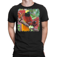 Bird T  Shirt B I R D   13 T  Shirt T-shirt | Artistshot