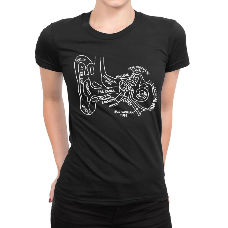 Inner Ear Audiology Audiologist Vestibular Therapist Medical Copy Ladies Fitted T-Shirt by AmberKelsey | Artistshot