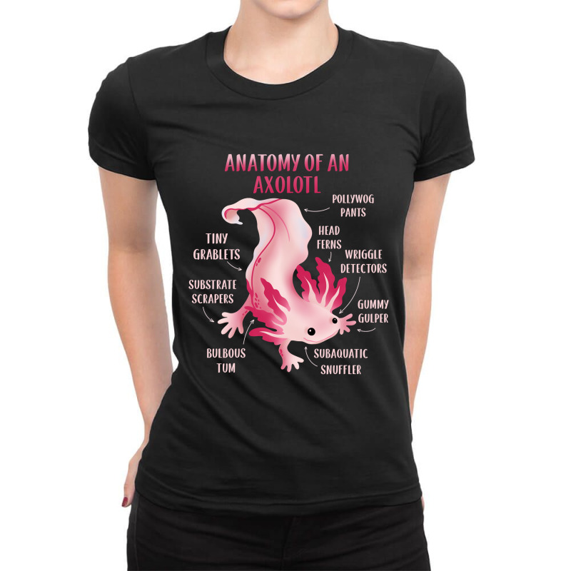 Cute Anatomy Of An Axolotl Ladies Fitted T-Shirt by JessyTee01 | Artistshot