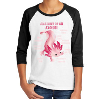 Cute Anatomy Of An Axolotl Youth 3/4 Sleeve | Artistshot