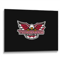 Carolina Thunderbirds Metal Print Horizontal | Artistshot