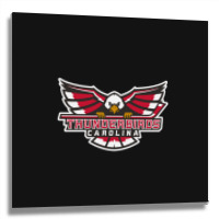 Carolina Thunderbirds Metal Print Square | Artistshot